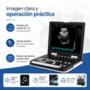 sonografo-veterinario
