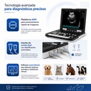 sonografo-veterinario-dp-50plus