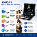 ultrasonido-veterinario-portatil
