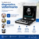 Secografo-veterinario-portatil