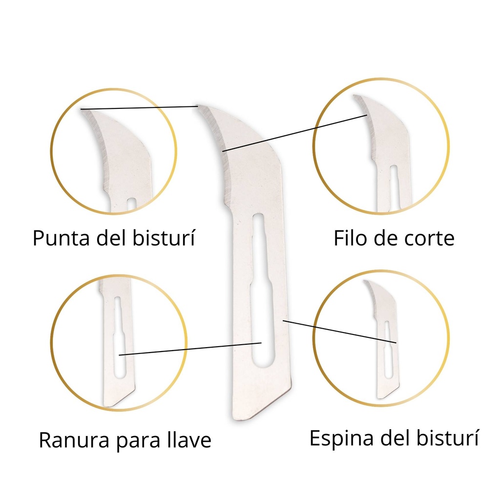Hoja de bisturí #12