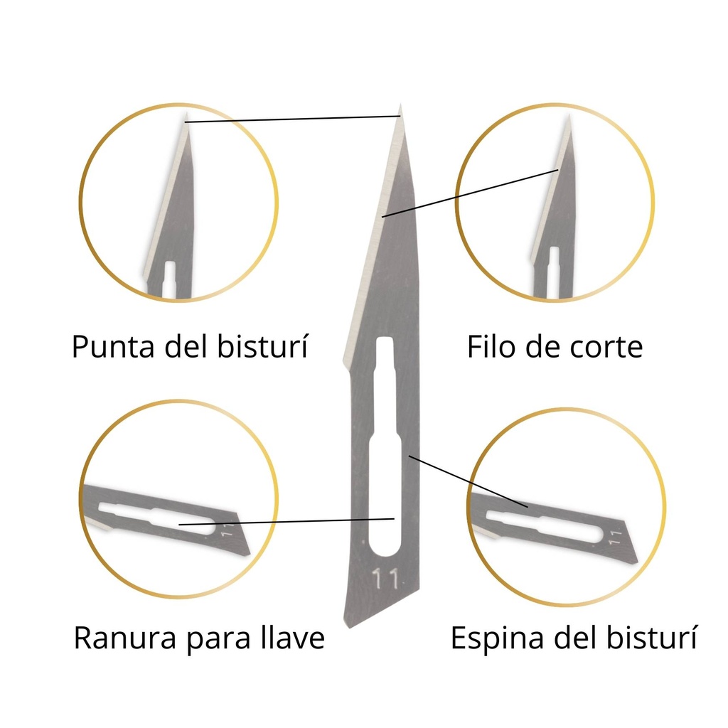 HOJA BISTURI #11