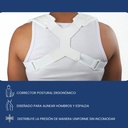 Soporte de Clavicula